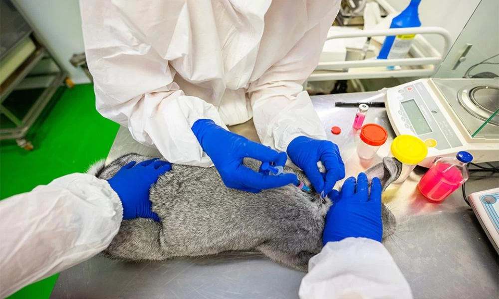 Η Ρωσία έτοιμη να κυκλοφορήσει εμβόλιο κορονοϊού για ζώα